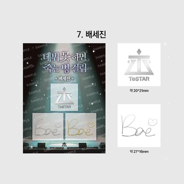 Debut Or Die Sticker Set featuring bae sejin signature metal sticker in silver and gold